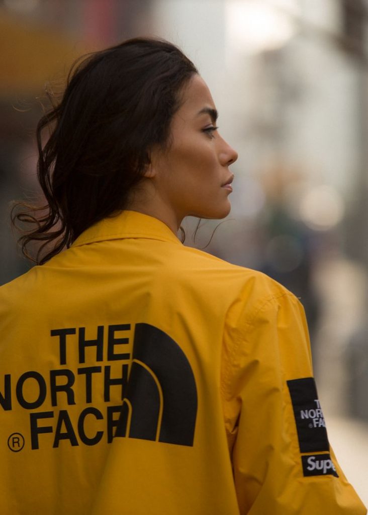 supreme-north-face-mountain-jacket.jpg